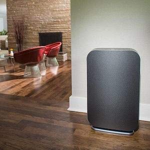 Alen BreatheSmart FLEX Air Purifier for Bedrooms and Offices, 700 Sqft. Coverage Area, True HEPA Filter for Allergies, Pollen, Dust, Dander and Fur in Graphite