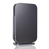 Alen BreatheSmart FLEX Air Purifier for Bedrooms and Offices, 700 Sqft. Coverage Area, True HEPA Filter for Allergies, Pollen, Dust, Dander and Fur in Graphite