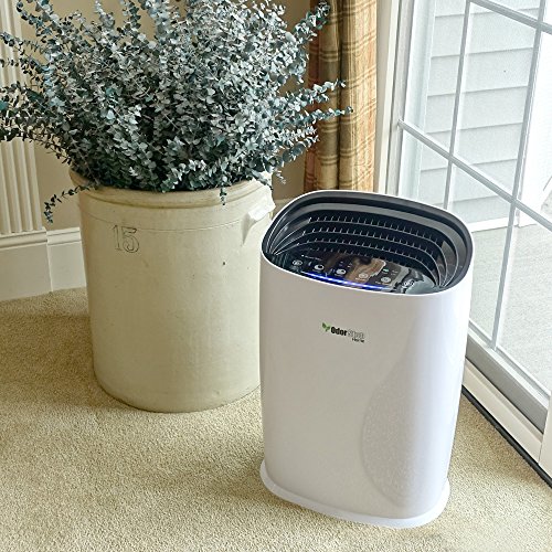 OdorStop HEPA Air Purifier with H13 HEPA Filter, UV Light, Active Carbon, Multi-Speed, Sleep Mode and Timer (OSAP3600, Bright White)