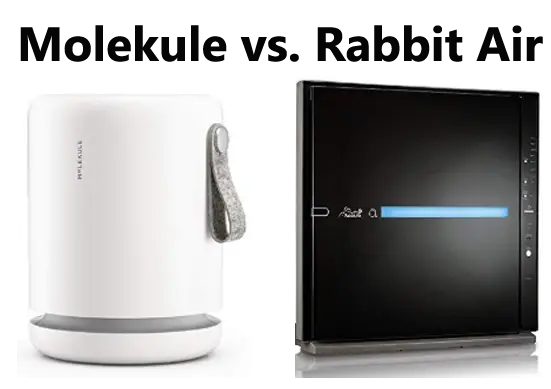 Molekule vs. Rabbit Air