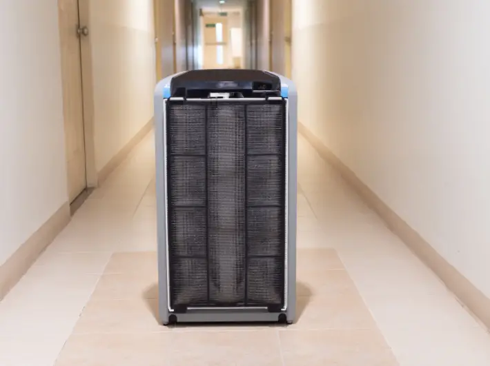 what do air purifiers help with