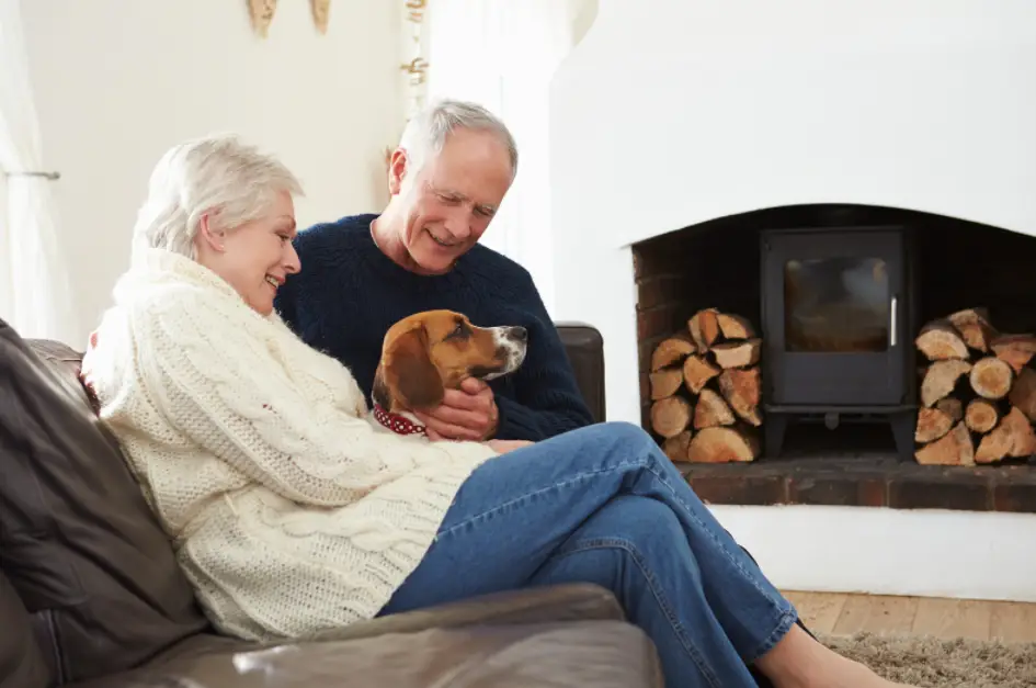 What is the Best Air Purifier for Elderly People