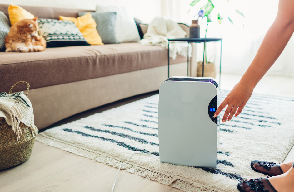 how often should you run an air purifier