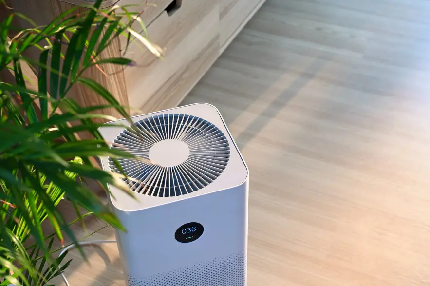 why use an air purifier